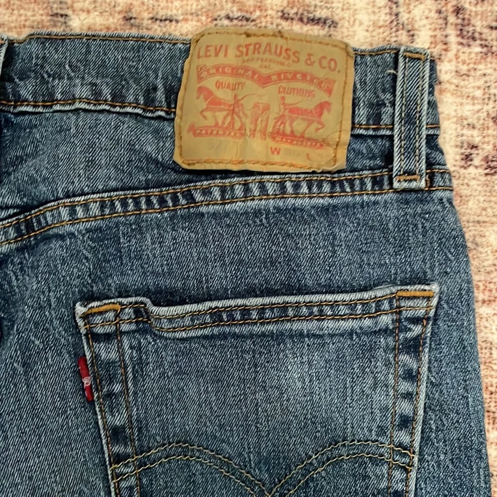 Levi - Picture 2 of 3